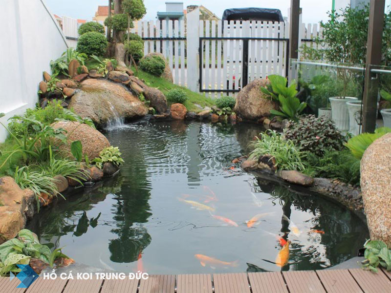 Thi công hồ cá koi tại Đẵng 1